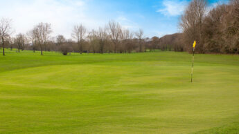 Cannock Park Golf Course - Hole 8 Green
