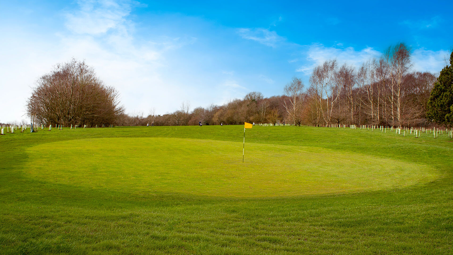 Cannock Park Golf Course - Hole 9 green